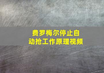 费罗梅尔停止自动抢工作原理视频