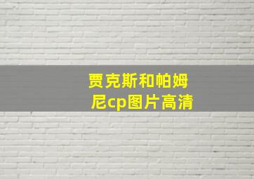 贾克斯和帕姆尼cp图片高清