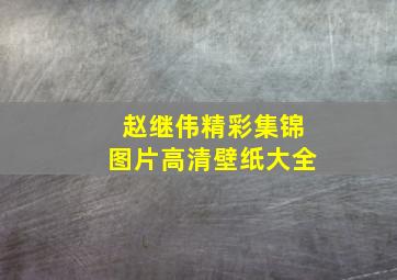 赵继伟精彩集锦图片高清壁纸大全