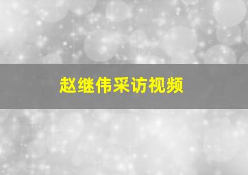 赵继伟采访视频