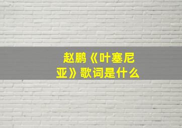 赵鹏《叶塞尼亚》歌词是什么