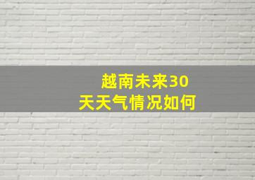 越南未来30天天气情况如何