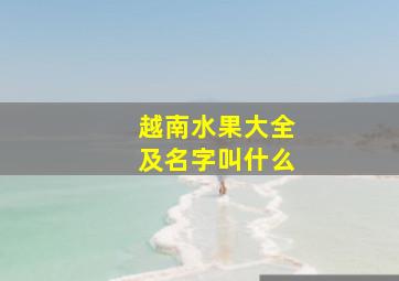 越南水果大全及名字叫什么