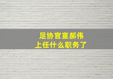 足协官宣郝伟上任什么职务了