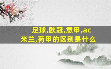 足球,欧冠,意甲,ac米兰,荷甲的区别是什么