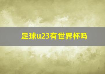 足球u23有世界杯吗