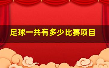 足球一共有多少比赛项目