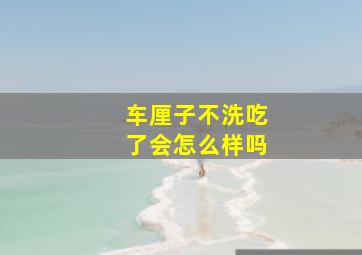 车厘子不洗吃了会怎么样吗