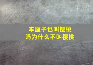 车厘子也叫樱桃吗为什么不叫樱桃