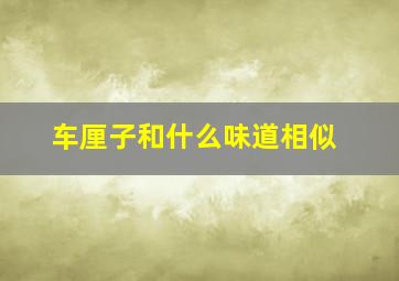 车厘子和什么味道相似