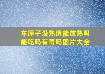 车厘子没熟透能放熟吗能吃吗有毒吗图片大全