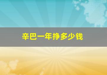 辛巴一年挣多少钱