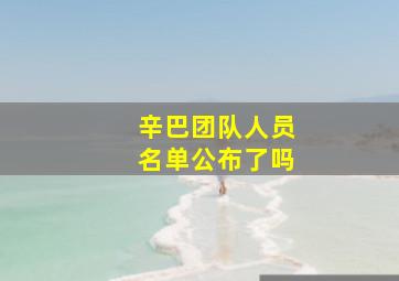 辛巴团队人员名单公布了吗