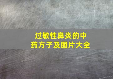 过敏性鼻炎的中药方子及图片大全