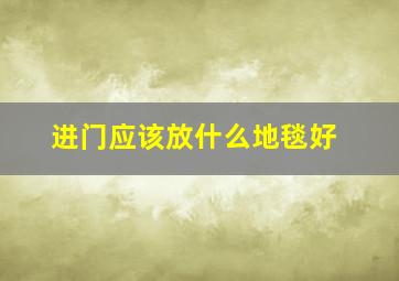 进门应该放什么地毯好