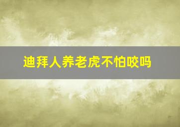 迪拜人养老虎不怕咬吗