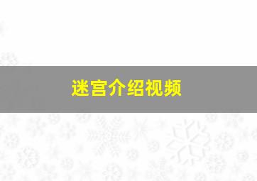 迷宫介绍视频