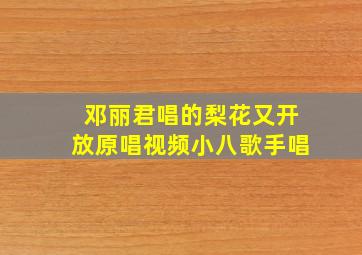 邓丽君唱的梨花又开放原唱视频小八歌手唱