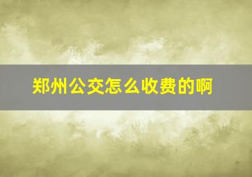 郑州公交怎么收费的啊