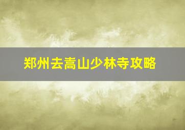 郑州去嵩山少林寺攻略