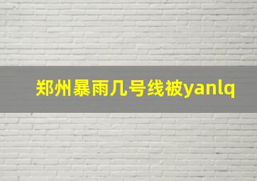 郑州暴雨几号线被yanlq