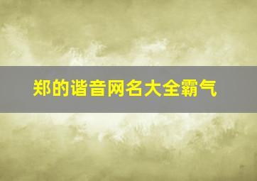 郑的谐音网名大全霸气