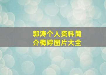 郭涛个人资料简介梅婷图片大全