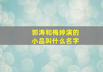 郭涛和梅婷演的小品叫什么名字