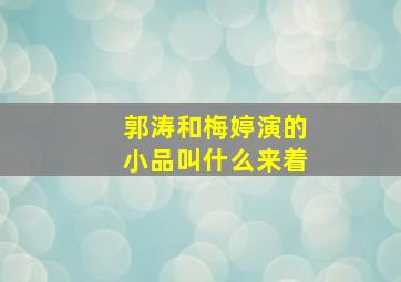 郭涛和梅婷演的小品叫什么来着