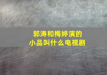 郭涛和梅婷演的小品叫什么电视剧