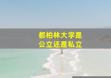 都柏林大学是公立还是私立