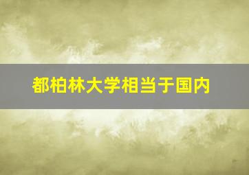 都柏林大学相当于国内