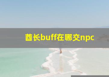 酋长buff在哪交npc