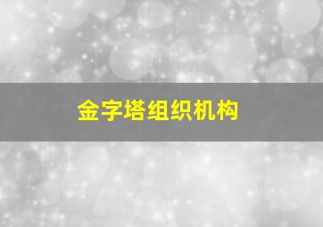 金字塔组织机构