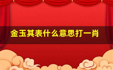 金玉其表什么意思打一肖