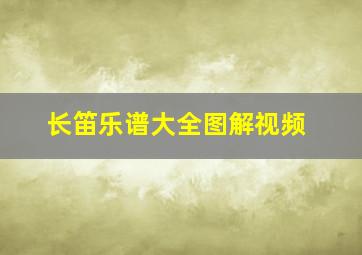 长笛乐谱大全图解视频