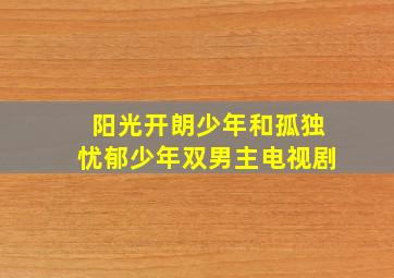 阳光开朗少年和孤独忧郁少年双男主电视剧