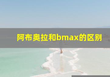 阿布奥拉和bmax的区别