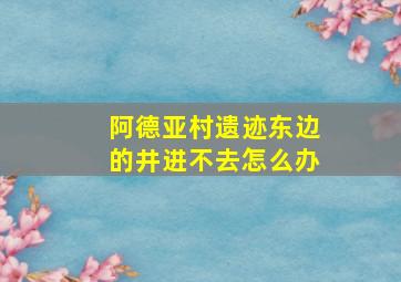 阿德亚村遗迹东边的井进不去怎么办