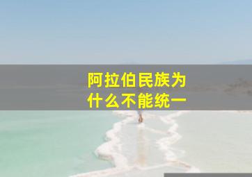 阿拉伯民族为什么不能统一