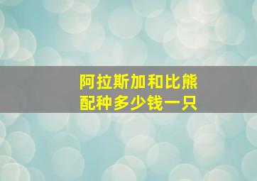 阿拉斯加和比熊配种多少钱一只