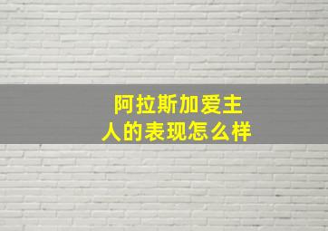 阿拉斯加爱主人的表现怎么样