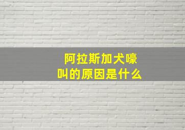 阿拉斯加犬嚎叫的原因是什么