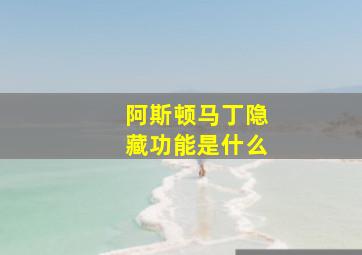 阿斯顿马丁隐藏功能是什么