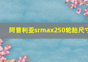 阿普利亚srmax250轮胎尺寸