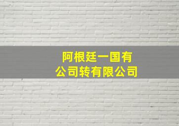 阿根廷一国有公司转有限公司