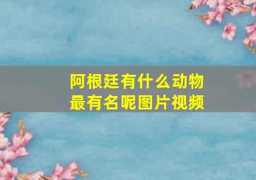 阿根廷有什么动物最有名呢图片视频