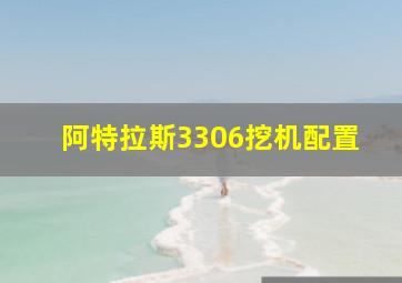 阿特拉斯3306挖机配置