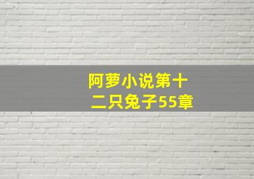 阿萝小说第十二只兔子55章