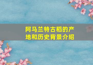 阿马兰特古稻的产地和历史背景介绍